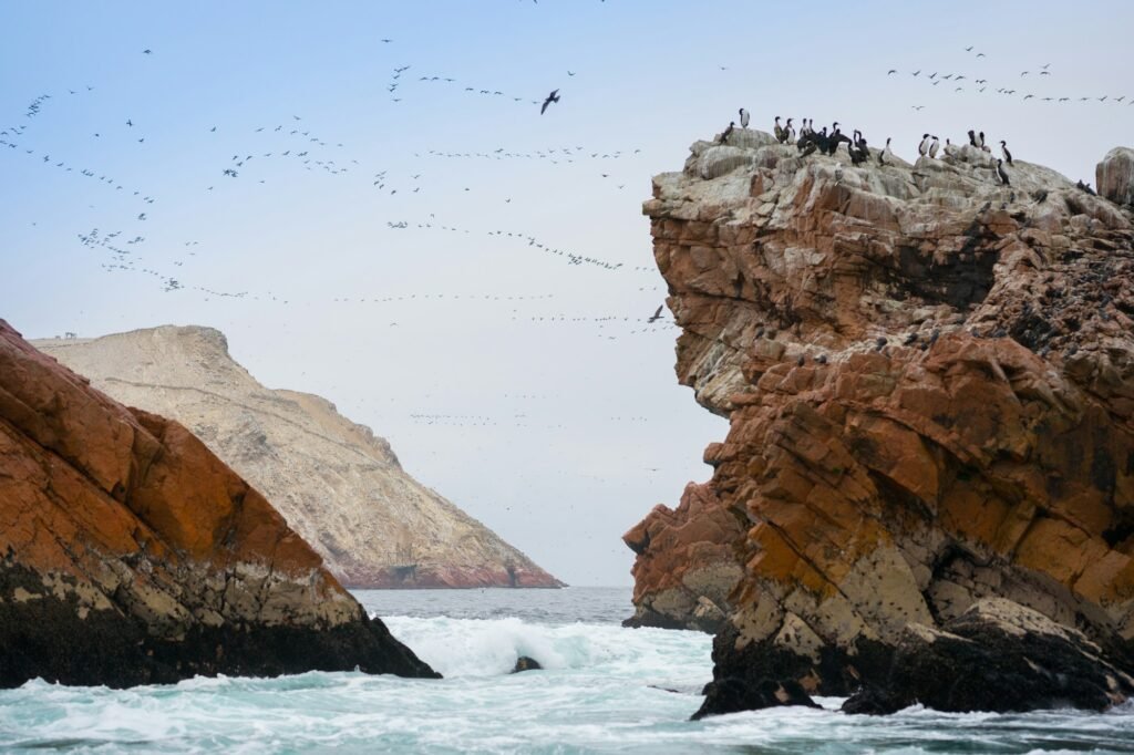 Ballestas island in Peru